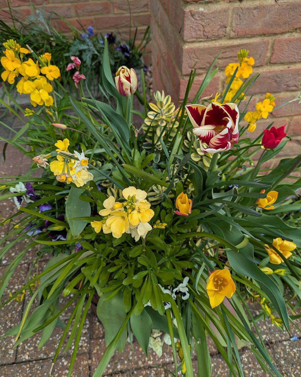 A spring display planted for a customer