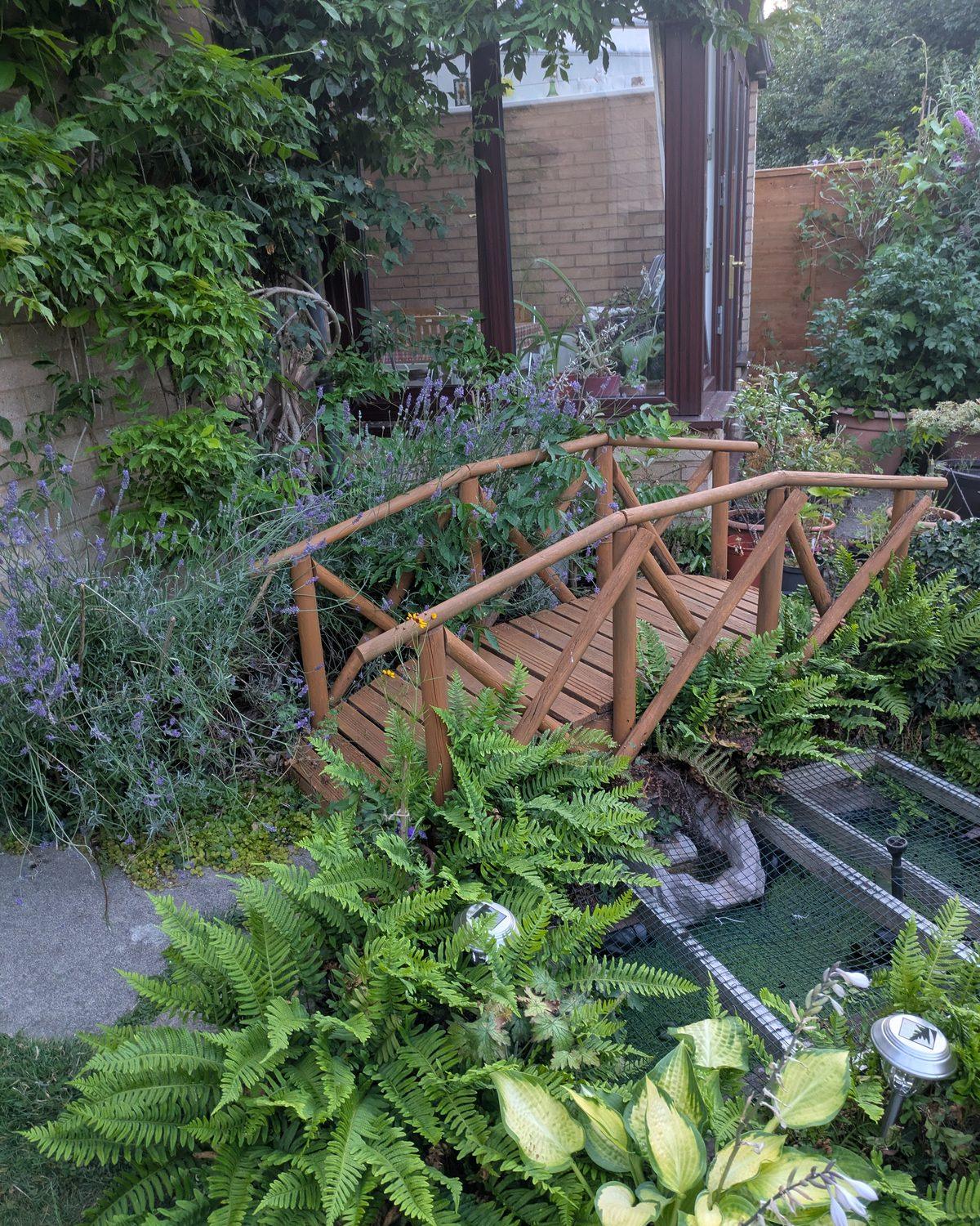 A garden we maintain, in high summer